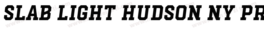 Slab Light Hudson NY Pro字体转换